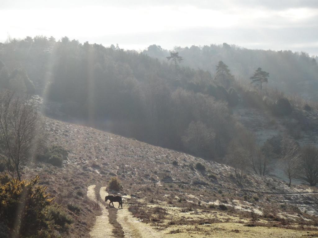 The Old Cook'S House Villa Hindhead Room photo