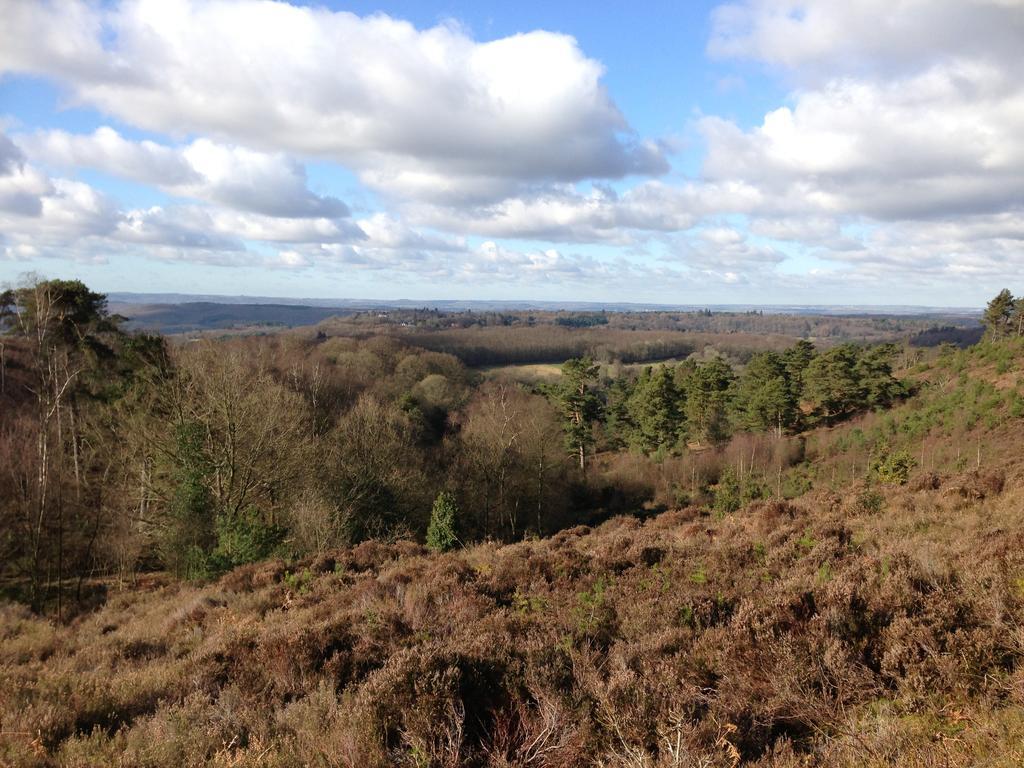 The Old Cook'S House Villa Hindhead Room photo